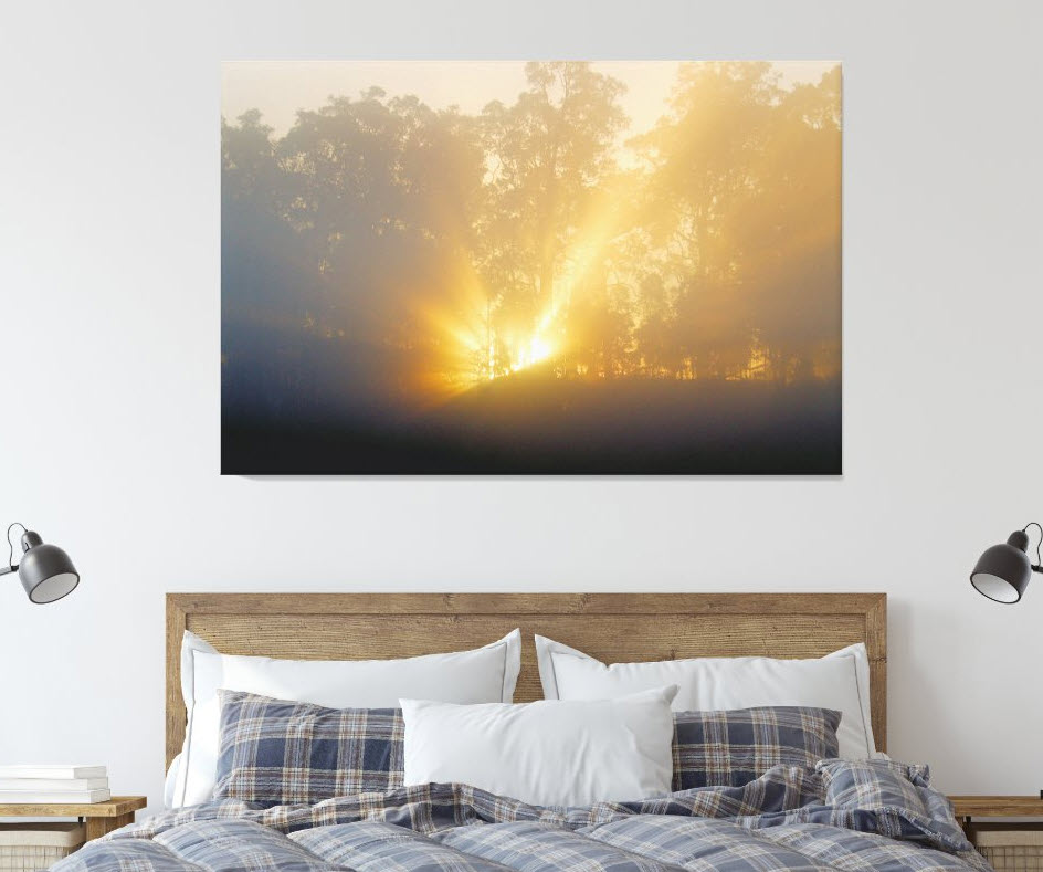 golden-rays-at-morning-dawn-canvas-art-print-bedroom