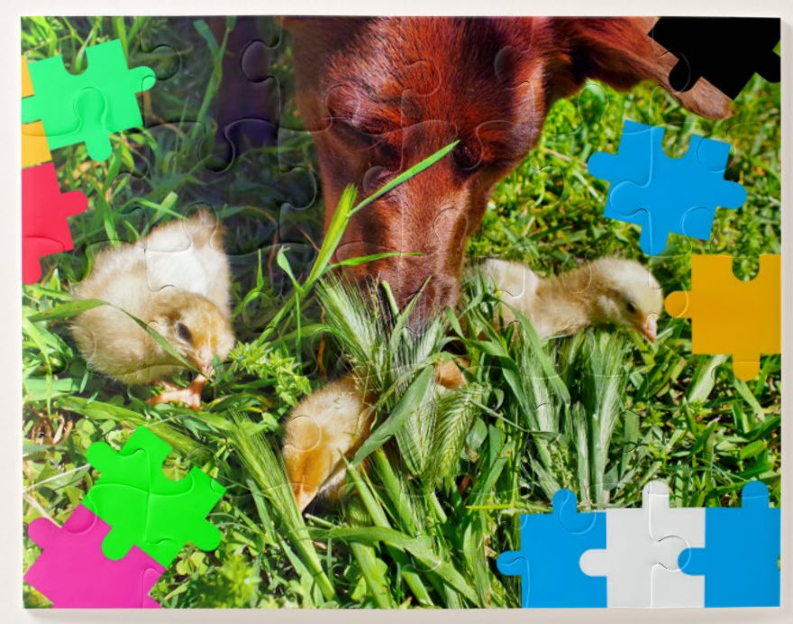 EcoMarlee mascot Marlee looks after newborn chicks. This is a great starter puzzle for younger children with inbuilt prompts. Purchase through Zazzle. Click here.