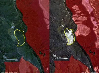 Satellite map showing illegal logging in Little Jacquie Coupe Victoria