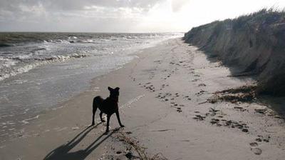 Wonnerup Beach 18 August 2017